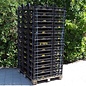 65 Pfenninger-Staudenkisten Recycling-Kunststoff gebraucht, 75 Stück, sortiert, 60x40x17 mit Holzpalette 100x120 #SK1-75-Pfenninger-Pflanzen