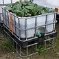 Terrassen-Hochbeet für Gemüse 500 Liter transparent auf Kunststoff-Palette 27 cm erhöht #IBC62HB-VP500&27-Gemüse-REGEN-USER