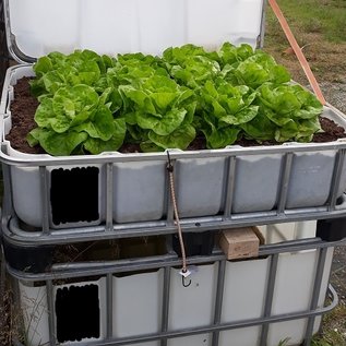 Hochbeet mit Wasserspeicher SCHWARZ 300 Liter & 500 Liter auf Kunststoff-Palette 55 cm erhöht aus IBC