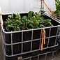 Terrassen-Hochbeet und Frühbeet SCHWARZ 500 Liter mit hohem Deckel auf Kunststoff-Palette 27 cm erhöht #64HB-VP500&27&D-Gemüse-REGEN-USER