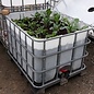 Hochbeet NATUR mit Frühbeetaufsatz 87 cm hoch 800 l IBC für Tiefwurzler auf Kunststoff-Palette #6HB-VP800&D-REGEN-USER