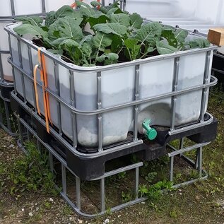 Terrassen-Hochbeet 500 Liter RECYCLING auf Auswahl-Palette 27 cm erhöht #IBC67HB-VP500&27-Gemüse-REGEN-USER