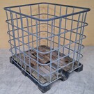IBC Gitterbox weitmaschig auf Holz mit VP-Palette