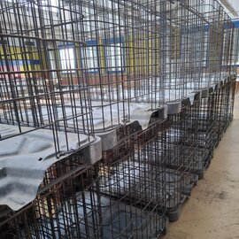 20x IBC Gitterbox engmaschig auf Metallpalette