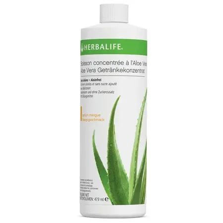 l’Aloe Vera - Boisson Concentrée à l’Aloe Vera
