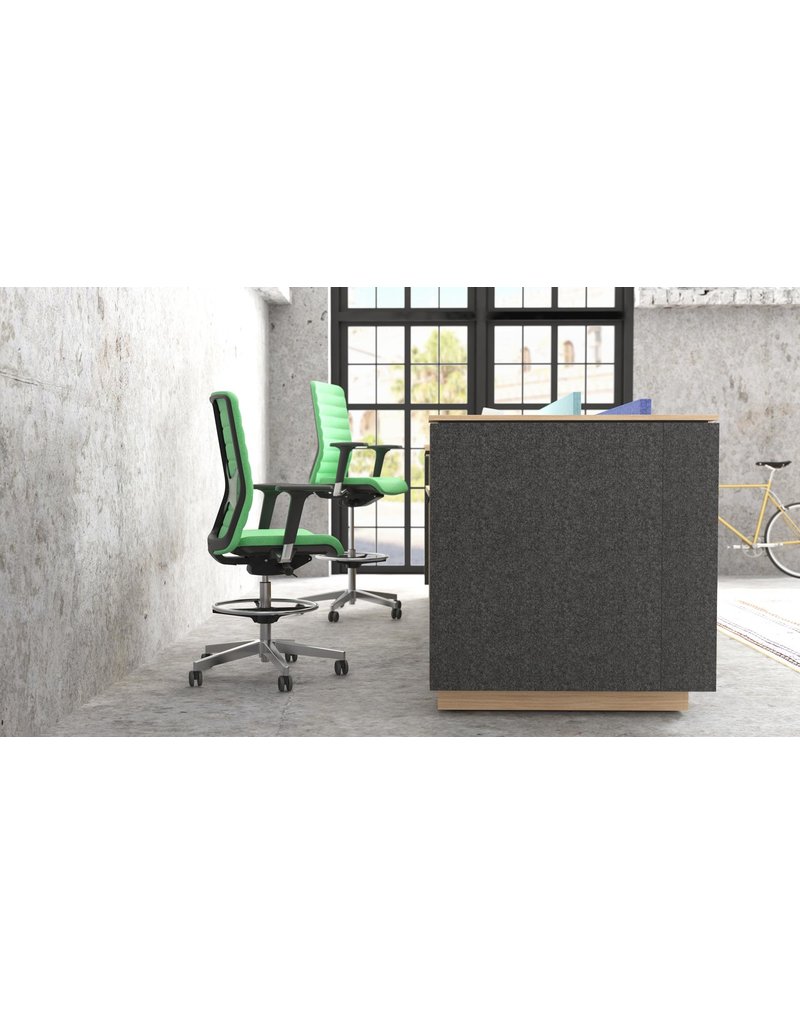 Narbutas Narbutas Wind baliestoel met netbespanning op de rug