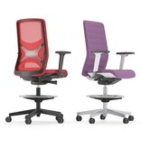Narbutas Narbutas Wind baliestoel met netbespanning op de rug