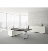 Renz Renz Upsite hoogte instelbaar bureau met dressoir