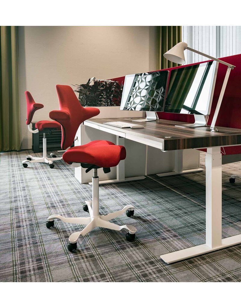 HÅG HAG Capisco 8106 in Balance bureaustoel