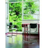Thonet Thonet S 43 F buizen frame stoel met armleggers