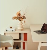 MDD MDD OGI-W bureau met vaste kast