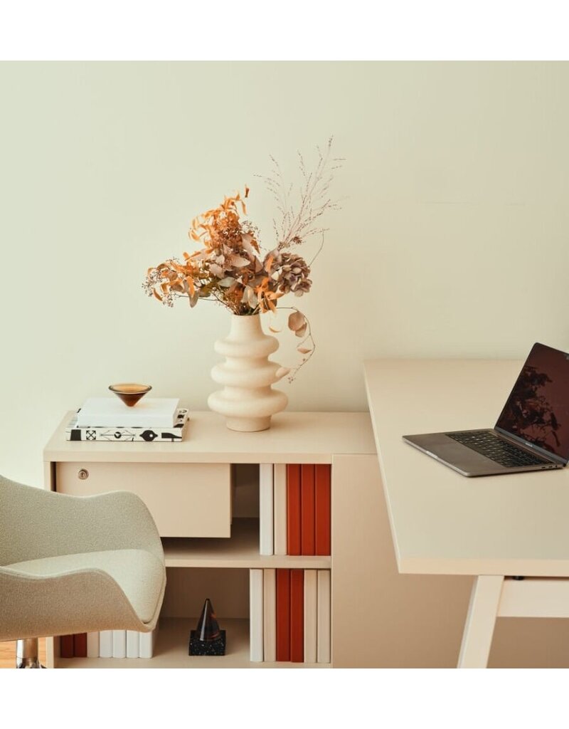 MDD MDD OGI-U bureau met vaste kast
