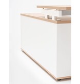 MDD MDD OGI-U bureau met vaste kast