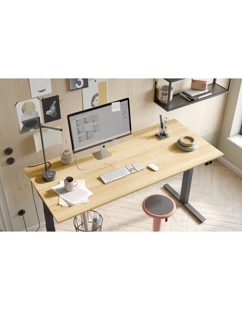 Palmberg Palmberg  Crew T  elektrisch in hoogte instelbaar zit-sta bureau