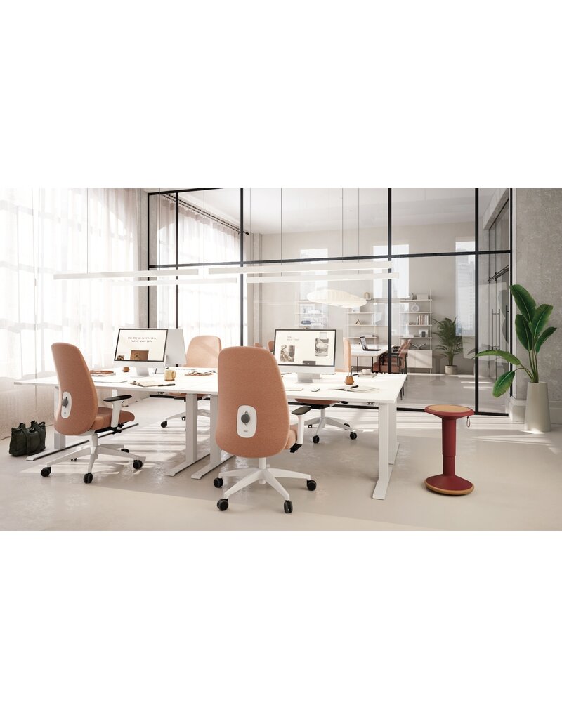 Interstuhl Interstuhl Hej ergonomische bureaustoel