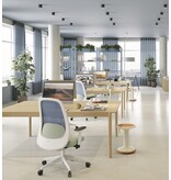 Interstuhl Interstuhl Hej ergonomische bureaustoel met net bespanning