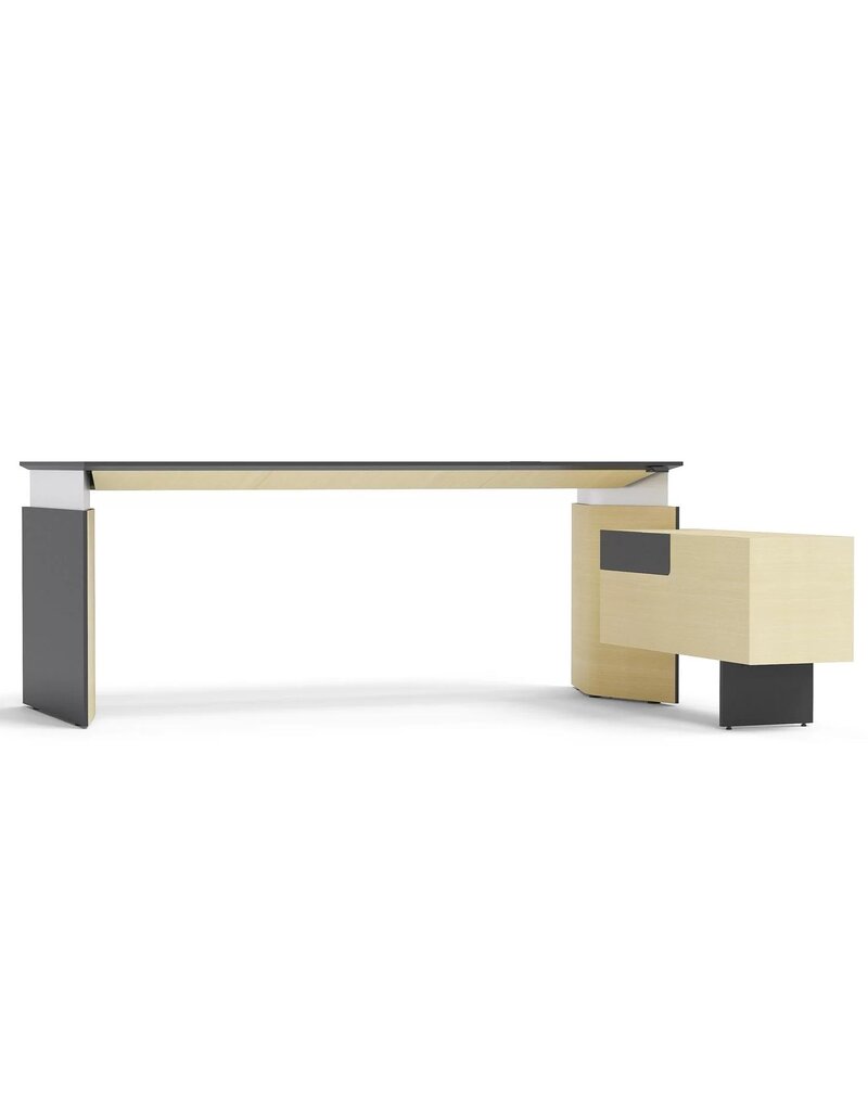 Narbutas Narbutas Move&Lead hoogte instelbaar management bureau