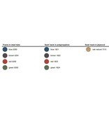 Magis Magis Motta retro stoel stalen frame met polypropyleen rugleuning en zitting