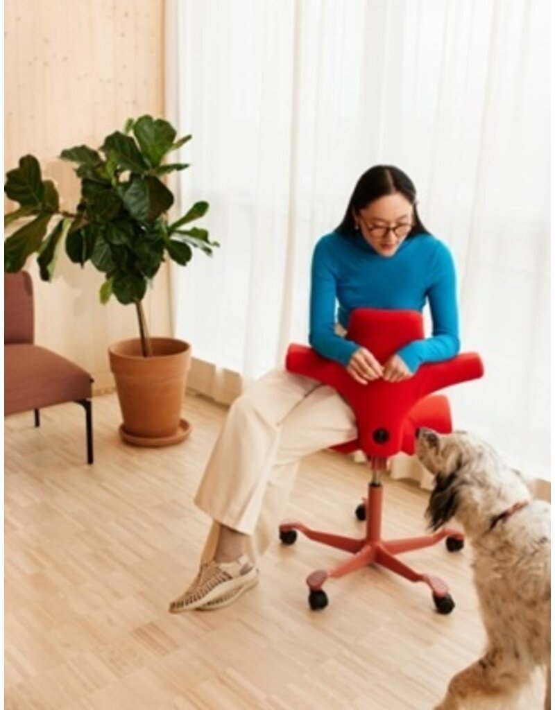 HÅG HAG Capisco 8106 in Balance bureaustoel