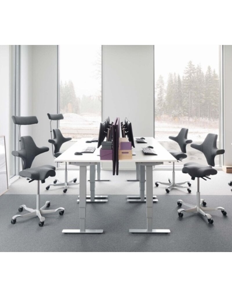 HÅG HAG Capisco 8106 in Balance bureaustoel