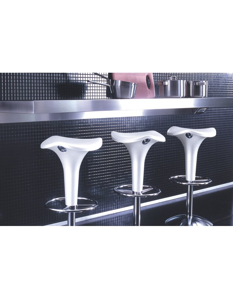 Rexite Rexite Zanzibar barkruk, in hoogteverstelbaar