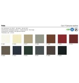 Kastel Kastel Kimera leren fauteuil