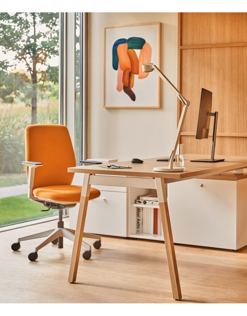MDD MDD OGI-W bureau met vaste kast