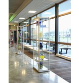 Functionals Functionals Pictor glazen vitrinekast