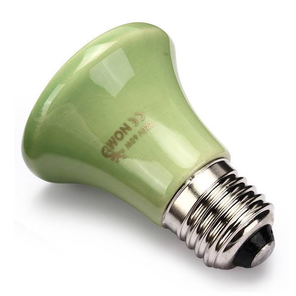 Terrarium Warmtelamp online bestellen? I (Tip)