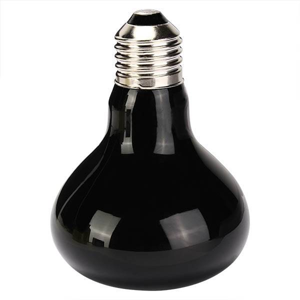 Infrarood lamp voor Terrarium (25W, 50W, 75W of 100W) kopen? I