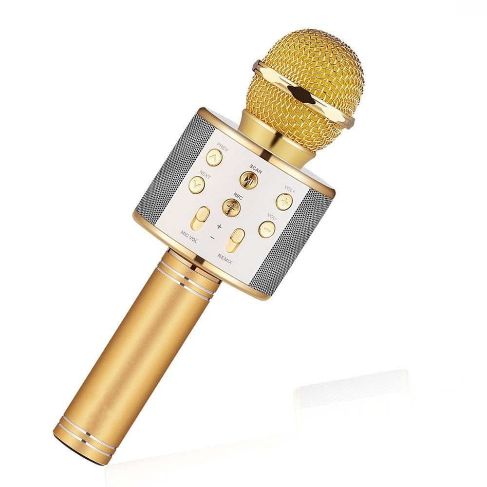 het winkelcentrum zoete smaak Romantiek Karaoke Microfoon met Bluetooth kopen? - MyXLshop