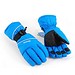 Wintersport Handschoenen