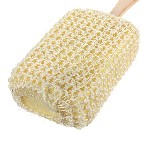 Douche Borstel Met Spons kopen? I (Tip)