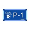 Brady Isolation point label Pneumatic