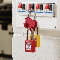 Lockout hasp S430