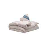 Duvet Doré Platinum donzen winterdekbed 240x200 cm