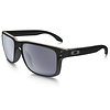 Oakley Holbrook Polished Black