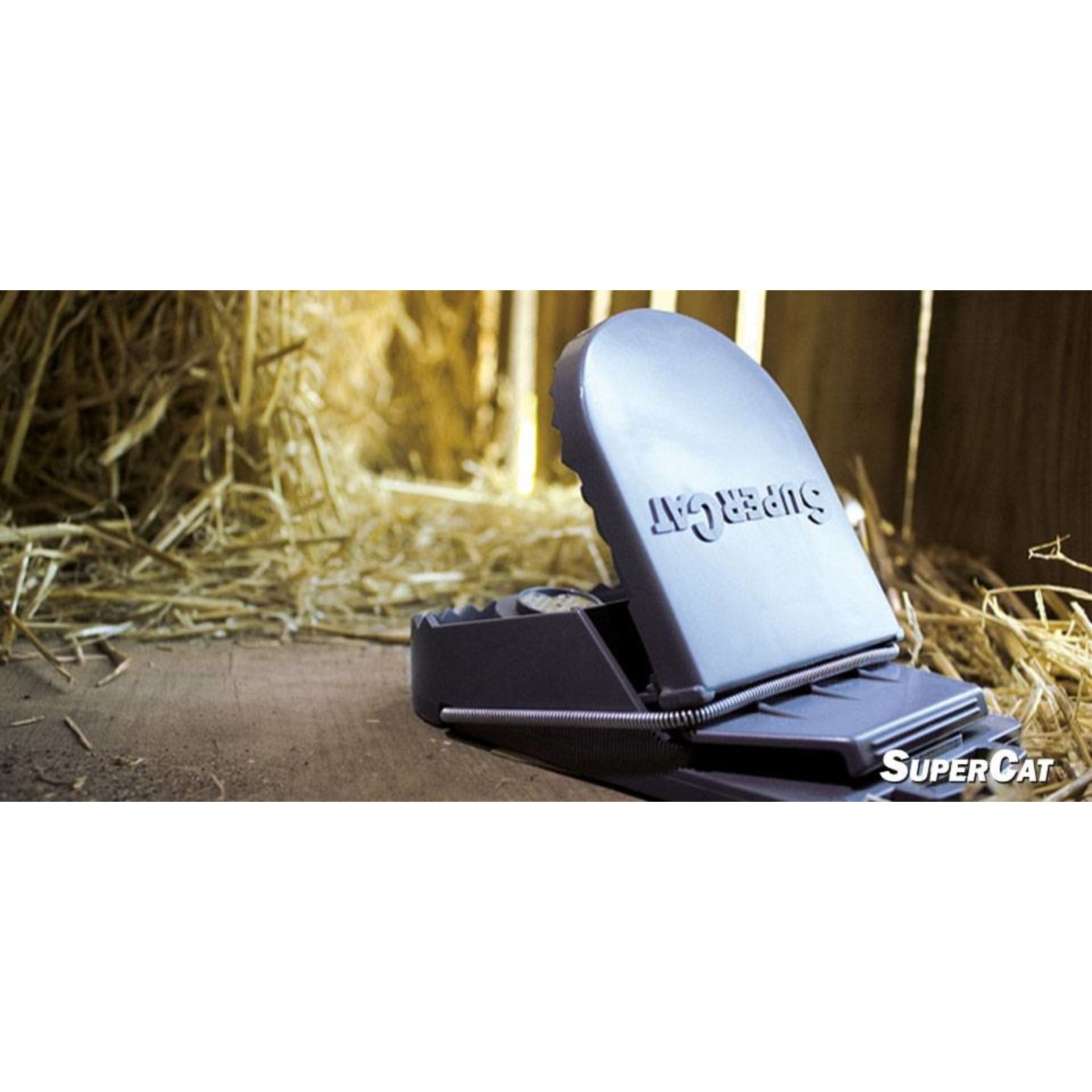 Swissinno Rattenklem SuperCat met lokstof