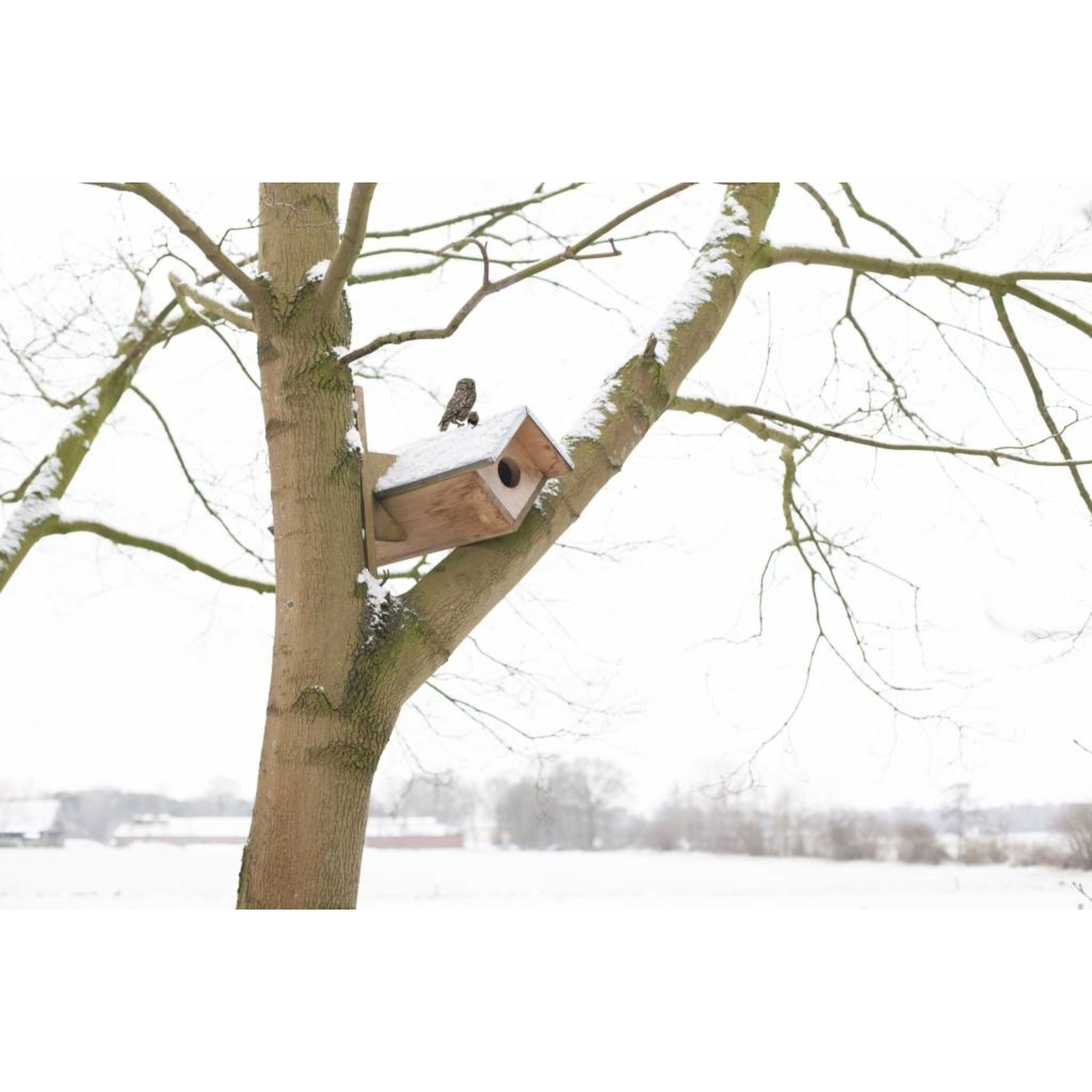 Esschert Steenuilkast