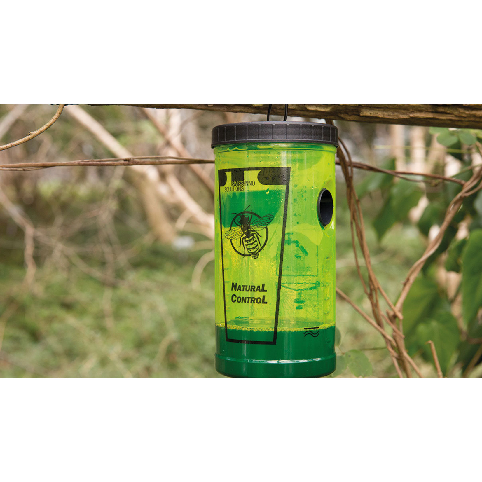 Swissinno Wespenval Natural Control