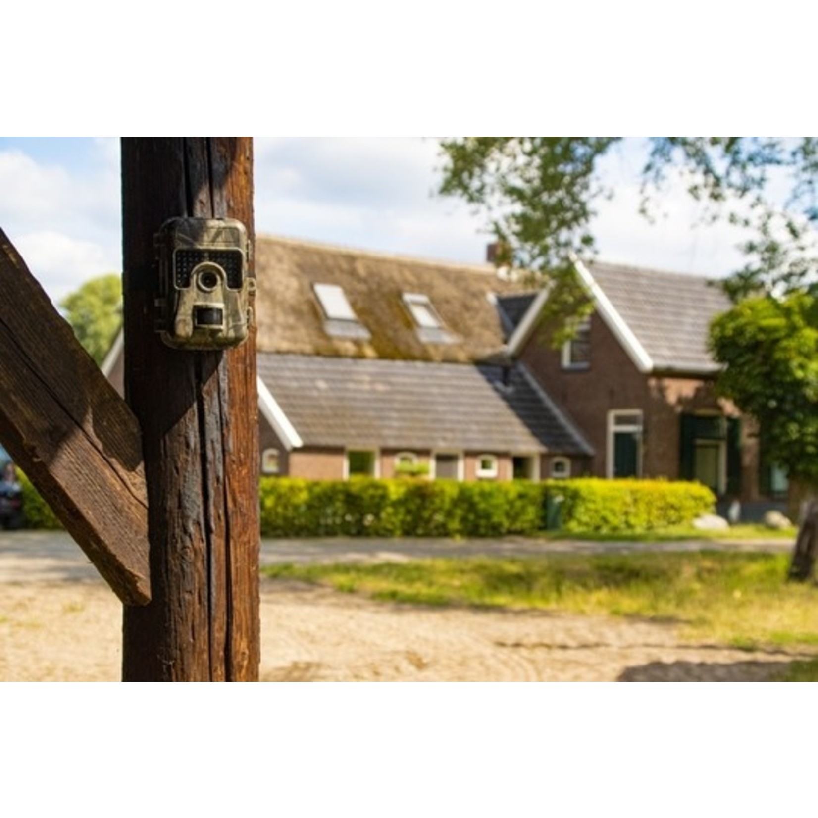 Knock Pest Control Observatie Camera