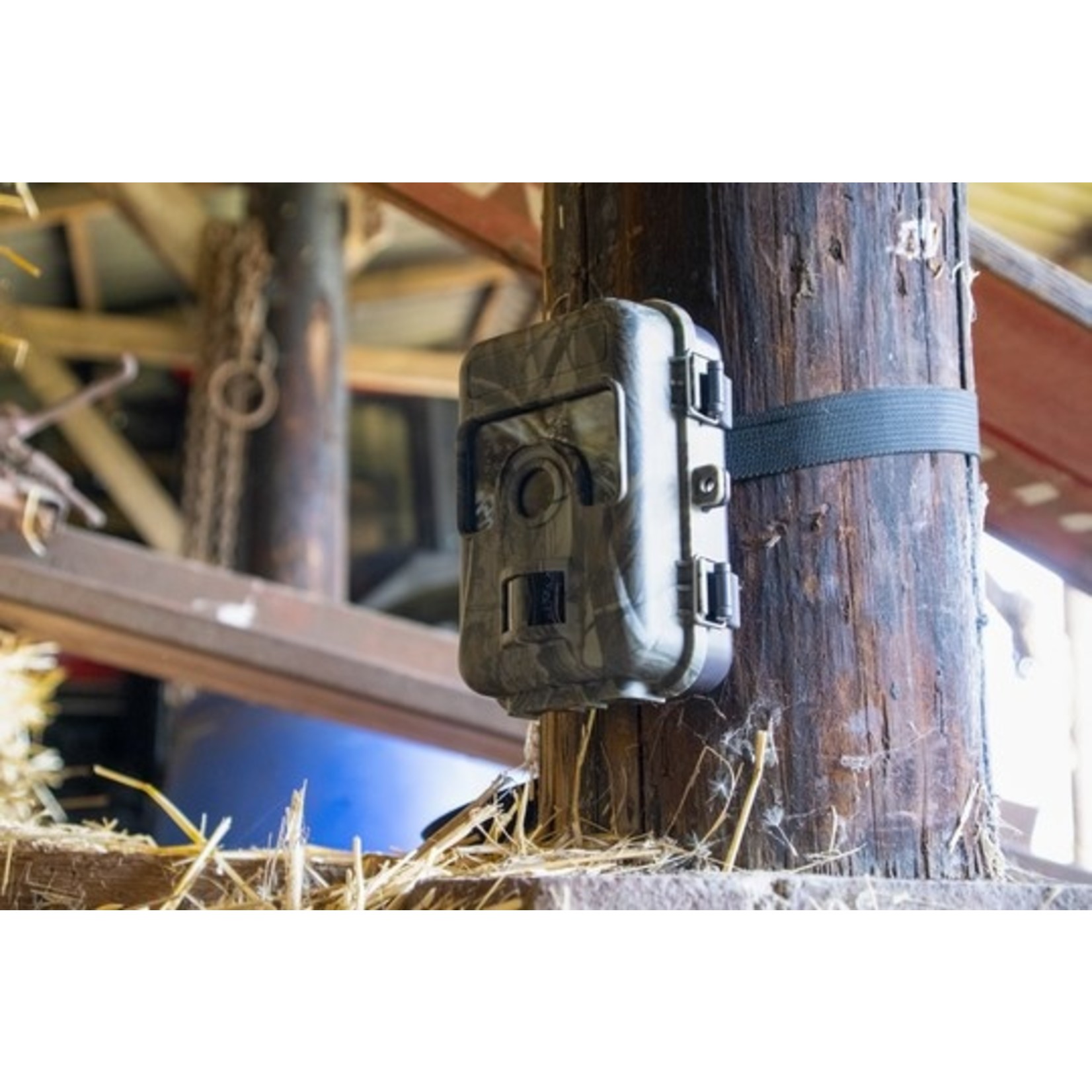 Knock Pest Control Observatie Camera