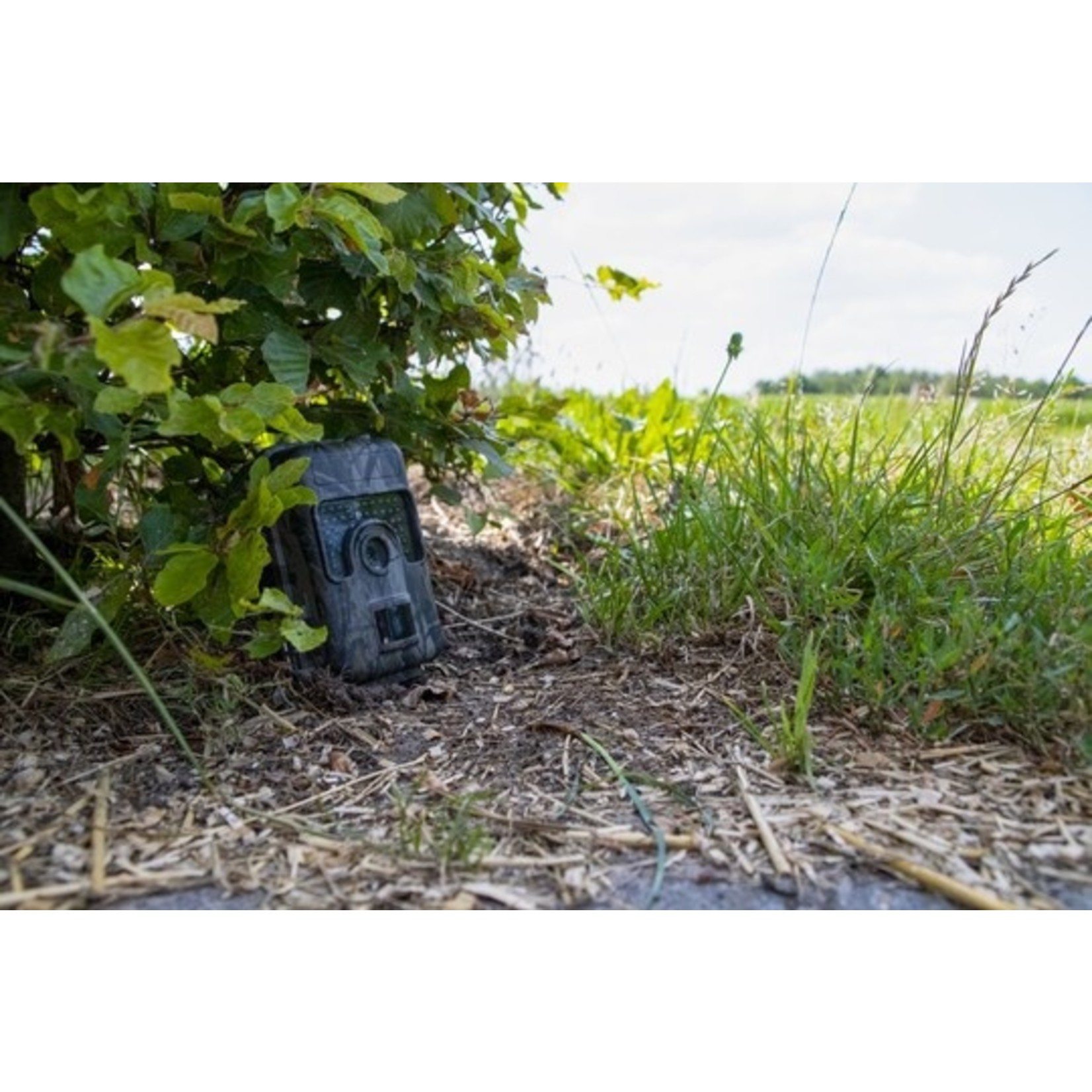 Knock Pest Control Observatie Camera