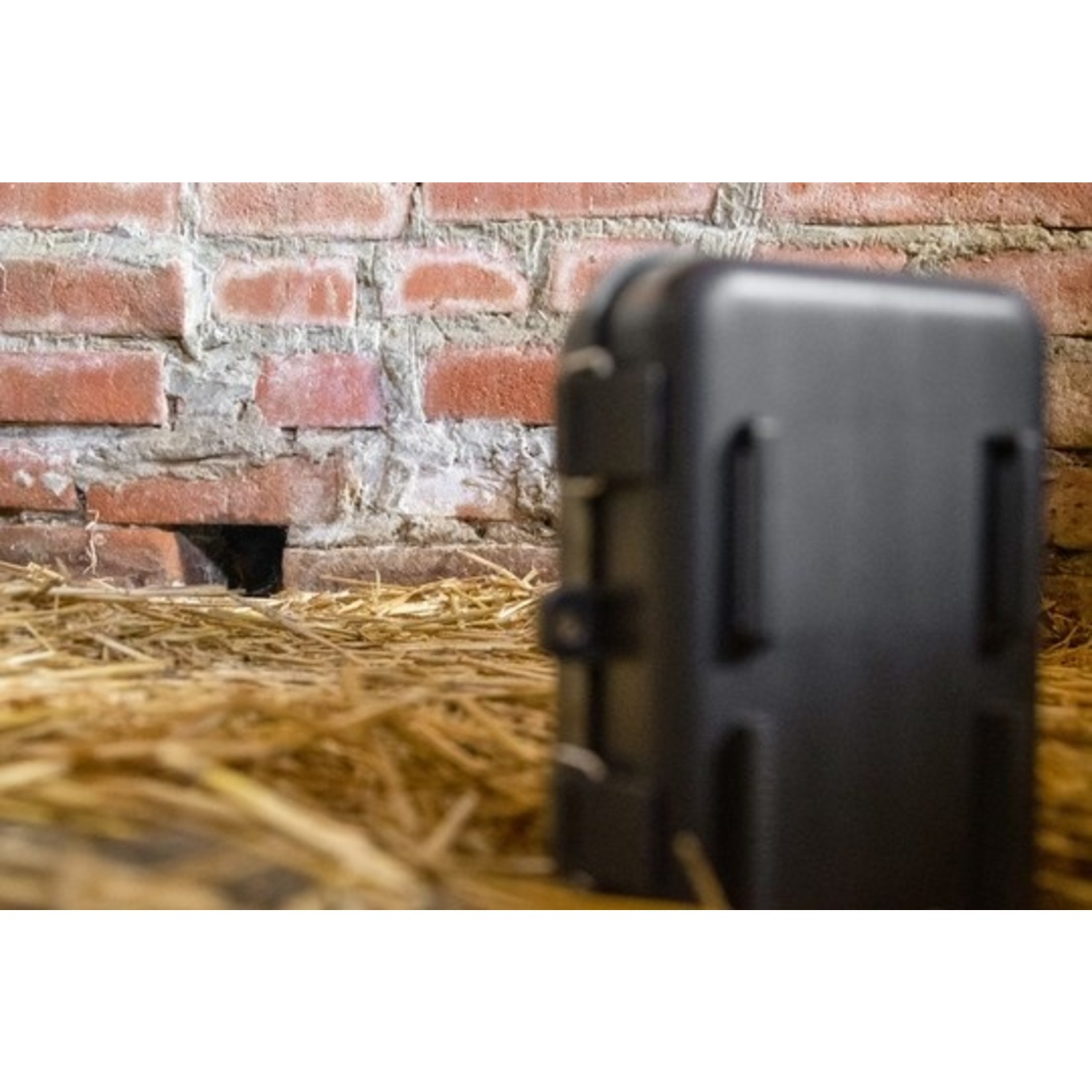 Knock Pest Control Observatie Camera