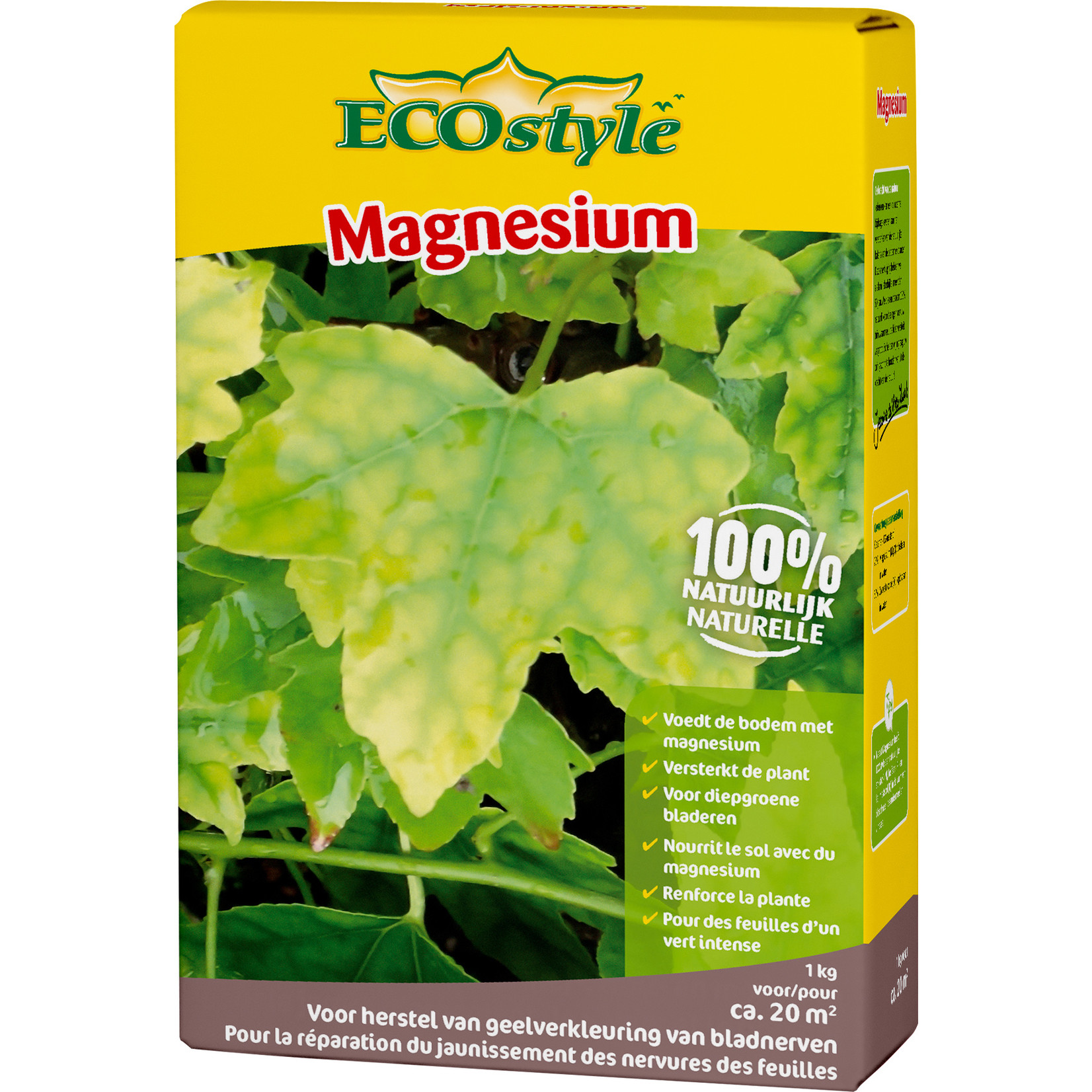 ECOstyle Magnesium 1 kg