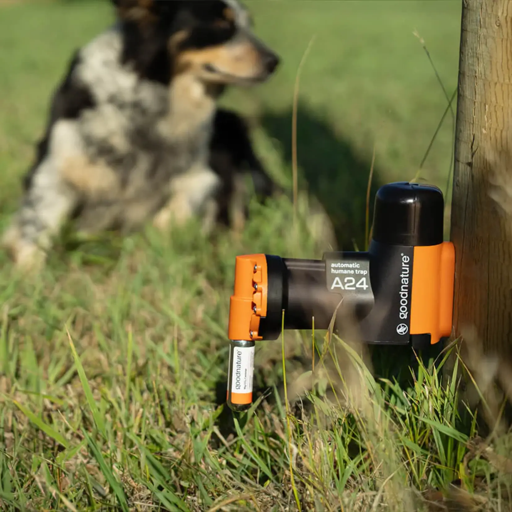Goodnature®  Automatische Ratten- & Muizenval A24 Starter Set
