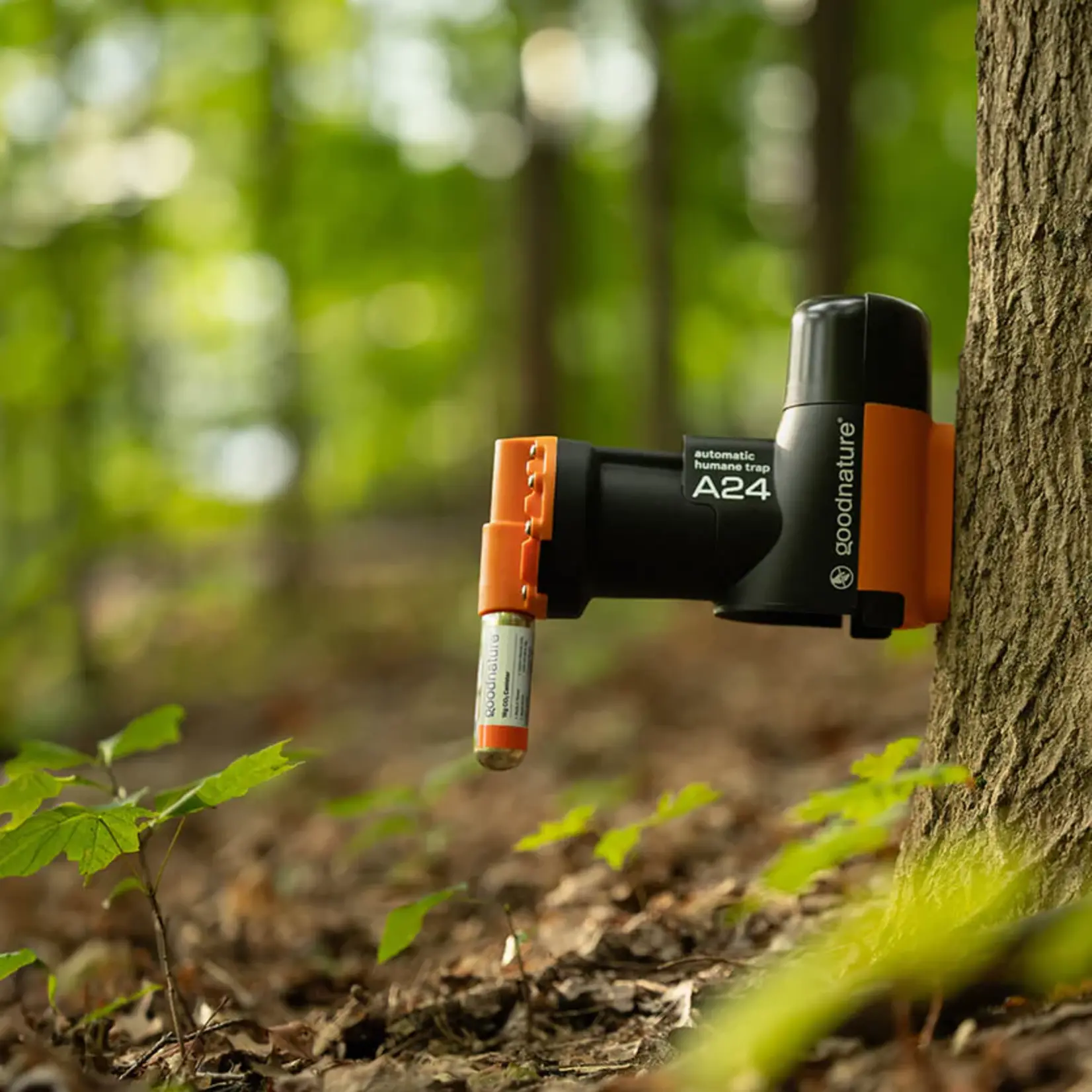 Goodnature®  Automatische Ratten- & Muizenval A24 Starter Set