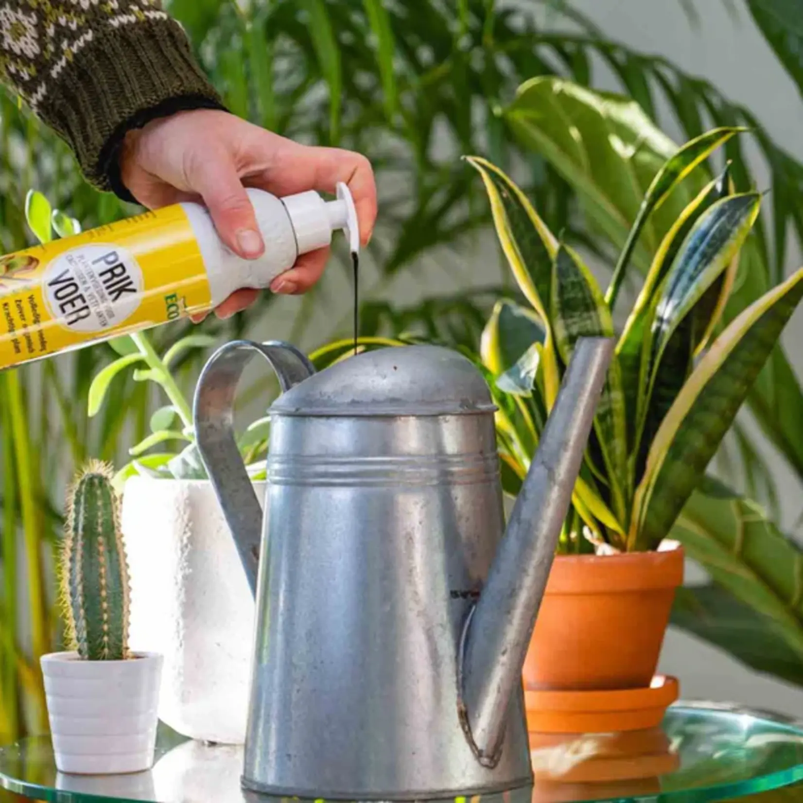 ECOstyle PrikVoer 400 ml voor cactussen en vetplanten