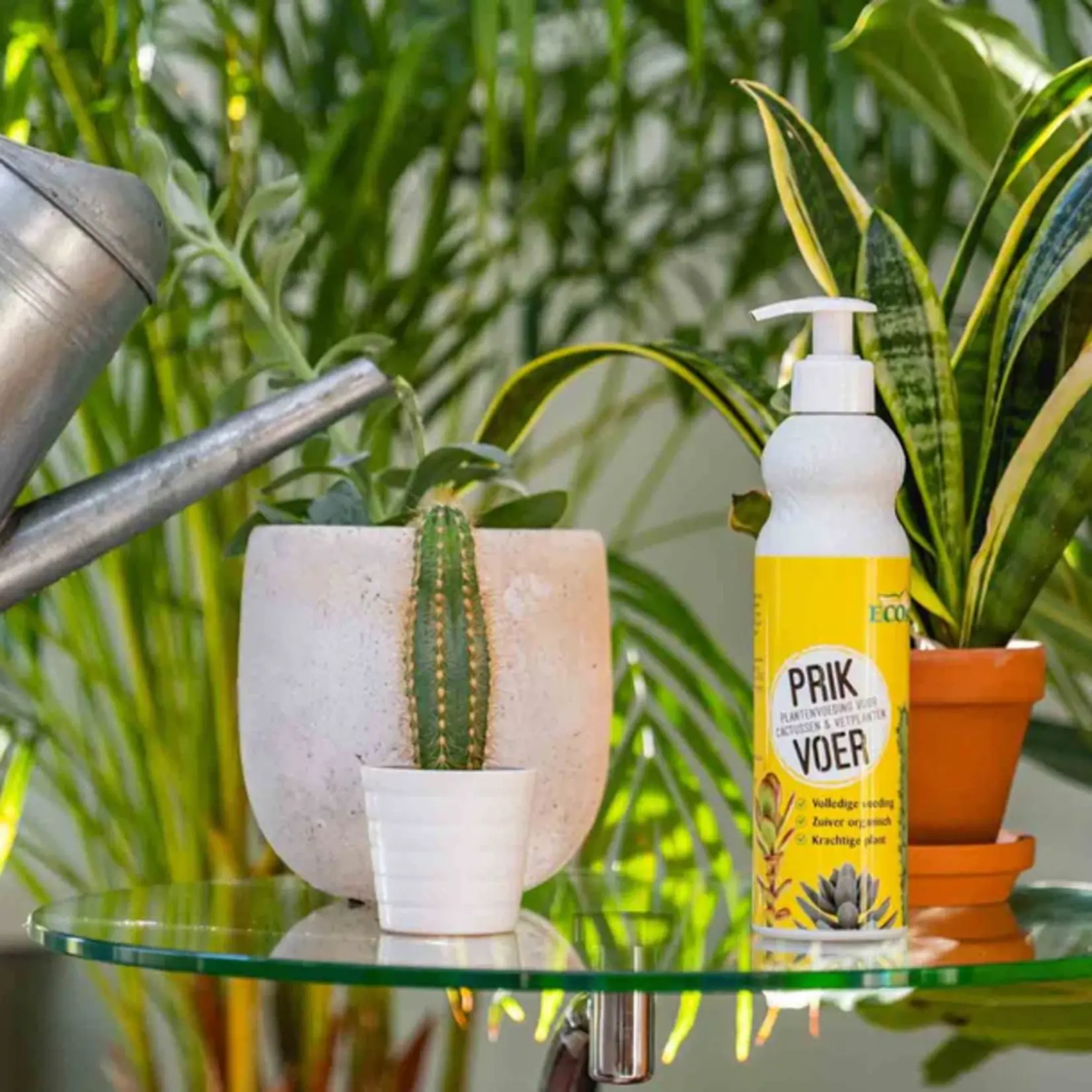 ECOstyle PrikVoer 400 ml voor cactussen en vetplanten