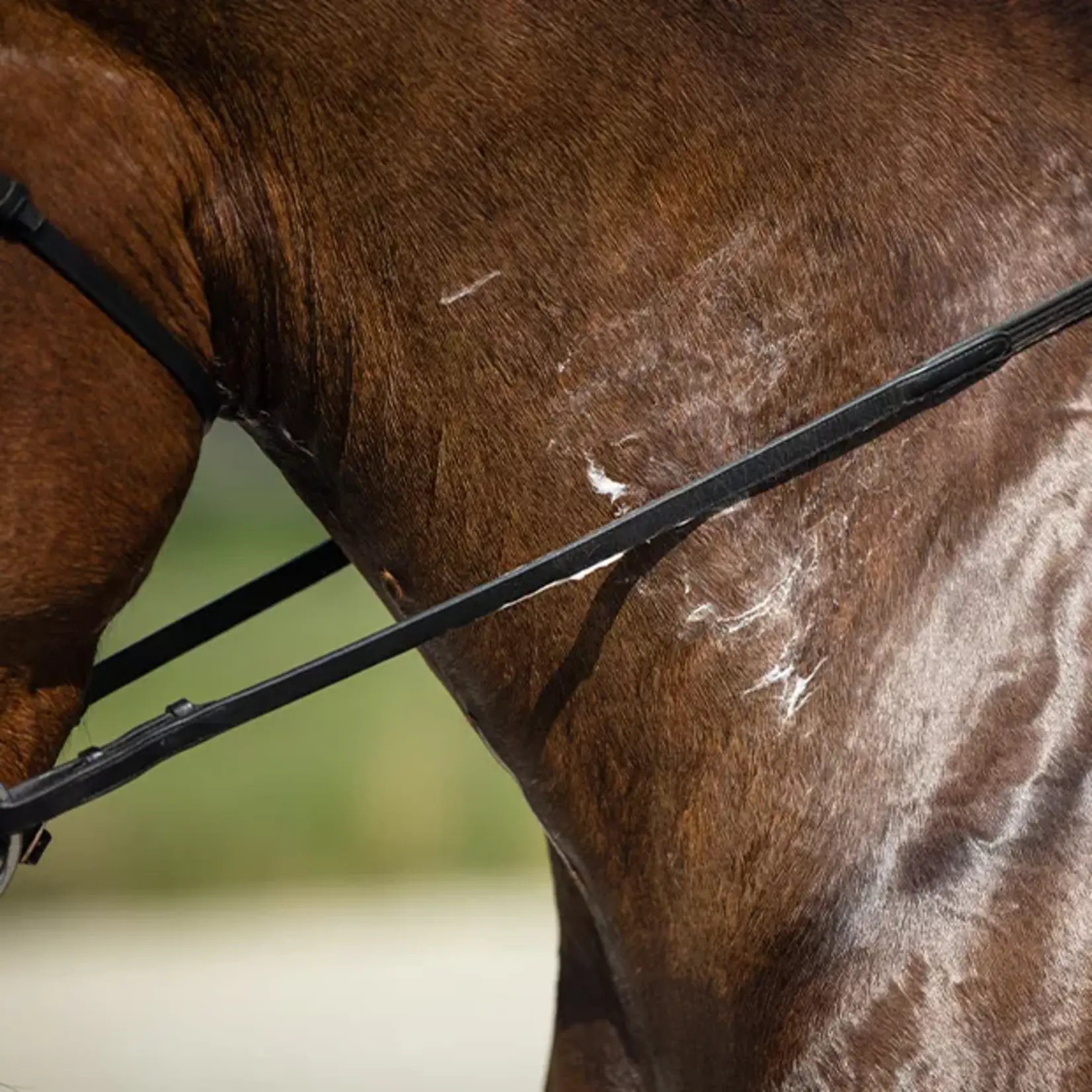 VITALstyle MuscleProtect 1 liter  beschermt de spieren